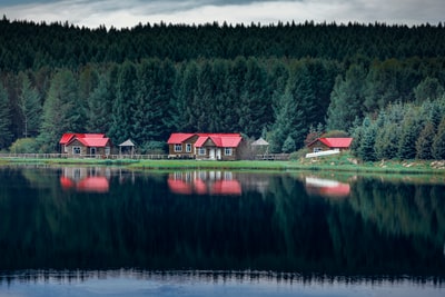 白天绿林旁的红房子